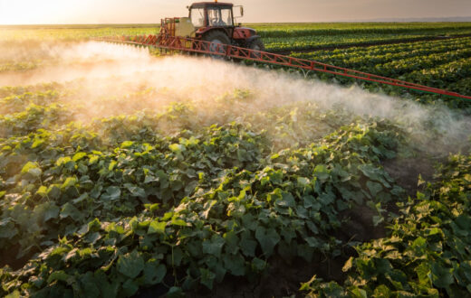 Pesticidele - soluții esențiale pentru protecția și performanța culturilor agricole
