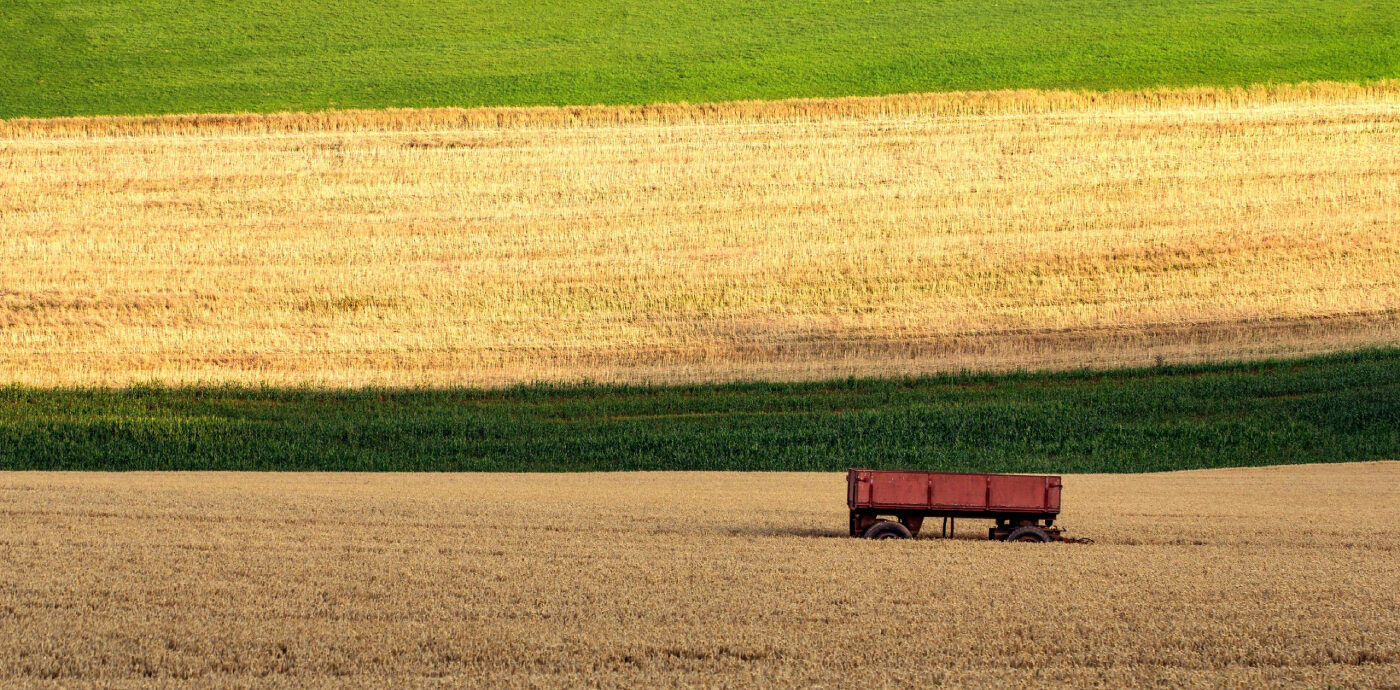 Rolul îngrășămintelor foliare în creșterea randamentului culturilor