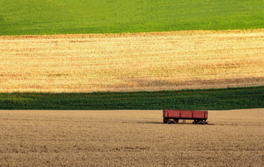 Rolul îngrășămintelor foliare în creșterea randamentului culturilor