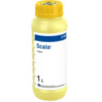 Fungicid SCALA - 1 Litru, Putregaiul Cenușiu, BASF