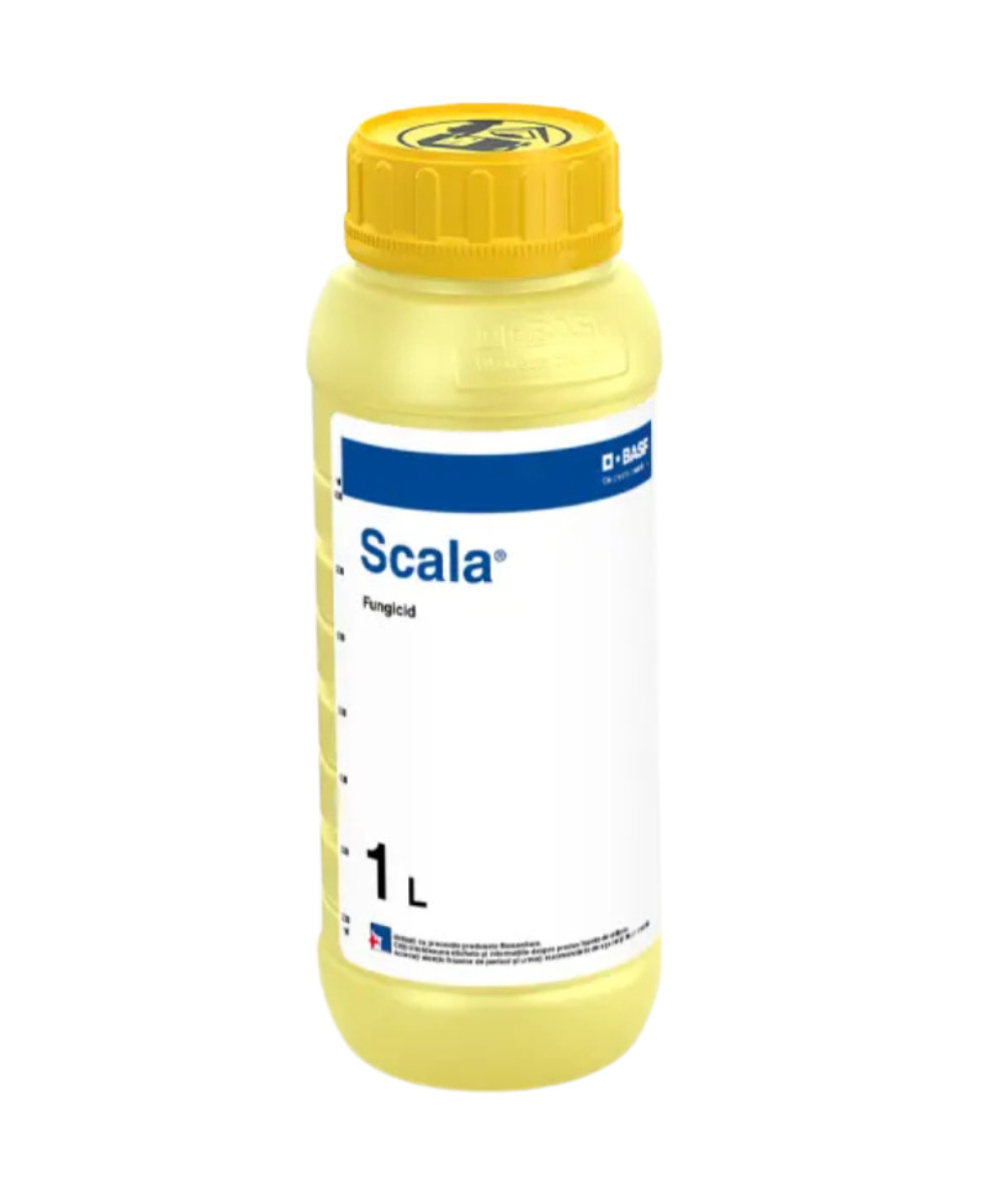 Fungicid SCALA - 1 Litru, Putregaiul Cenușiu, BASF