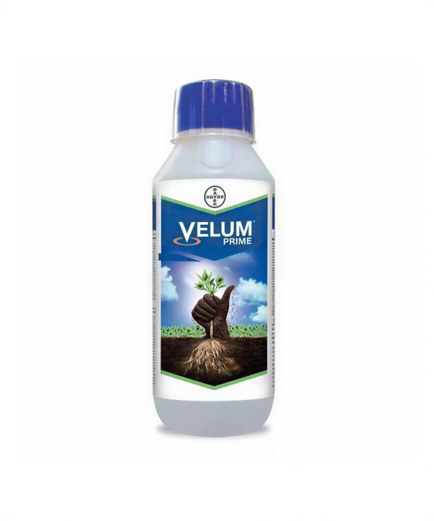 Nematocid Fungicid VELUM PRIME 400 SC - 1 Litru, Sistemic, BAYER ...