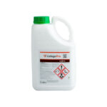 Erbicid LISTEGO PRO - 5 Litri, Imazamox 50 g_l, Floarea Soarelui Clearfield Plus, Syngenta