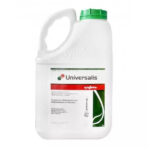 Fungicid UNIVERSALIS 593 SC - 10 Litri, Sistemic, Azoxistrobin 93,5 g_l + Folpet 500 g_l, Vita de vie, Syngenta