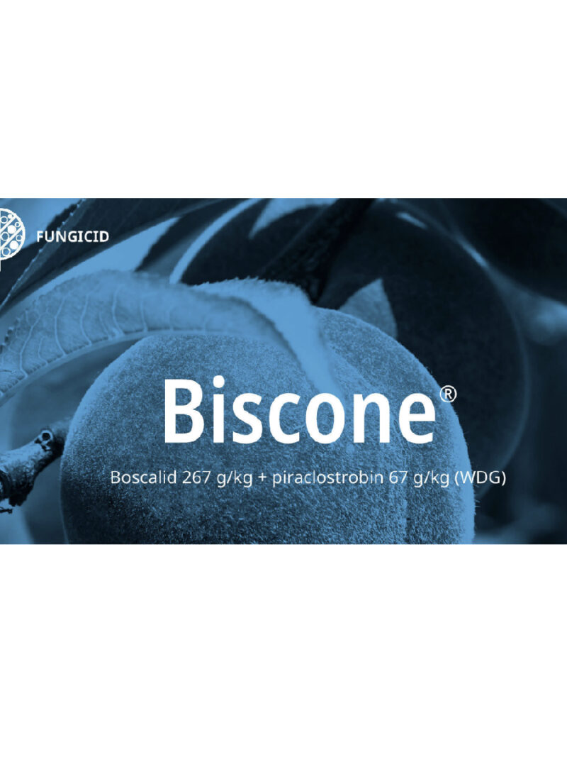 Fungicid BISCONE - 1 kg, Sistemic, Piraclostrobin, Boscalid, UPL