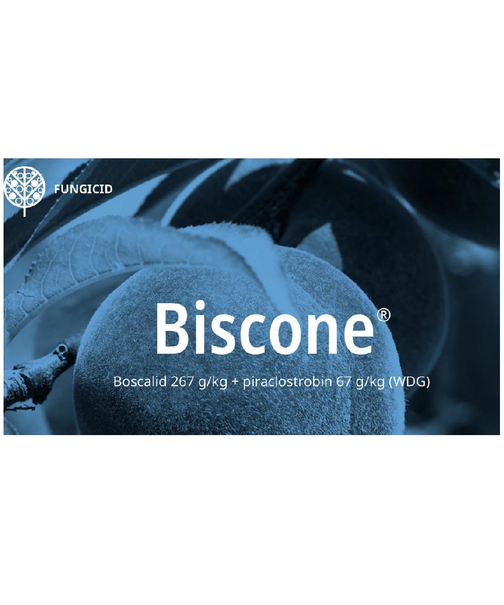 Fungicid BISCONE - 1 kg, Sistemic, Piraclostrobin, Boscalid, UPL