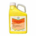 Erbicid CHALLENGE 600 SC - 5 Litri, Bayer, Preemergent, Postemergent