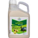 Fungicid INFINITO 687,5 SC - 5 Litri, Mana, Sistemic, Bayer