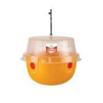 Capcana musca cireselor DECIS TRAP, Contact, Bayer