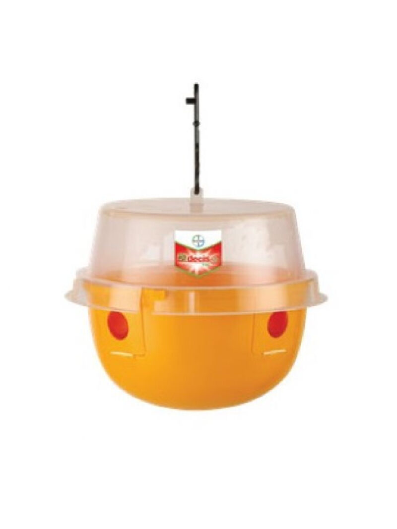 Capcana musca cireselor DECIS TRAP, Contact, Bayer