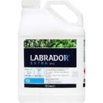 Erbicid graminicid LABRADOR EXTRA 50 EC - 10 Litri, Rapita de toamna, Sfecla de zahar, QEMETICA