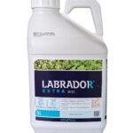 Erbicid graminicid LABRADOR EXTRA 50 EC - 5 Litri, Rapita de toamna, Sfecla de zahar, QEMETICA
