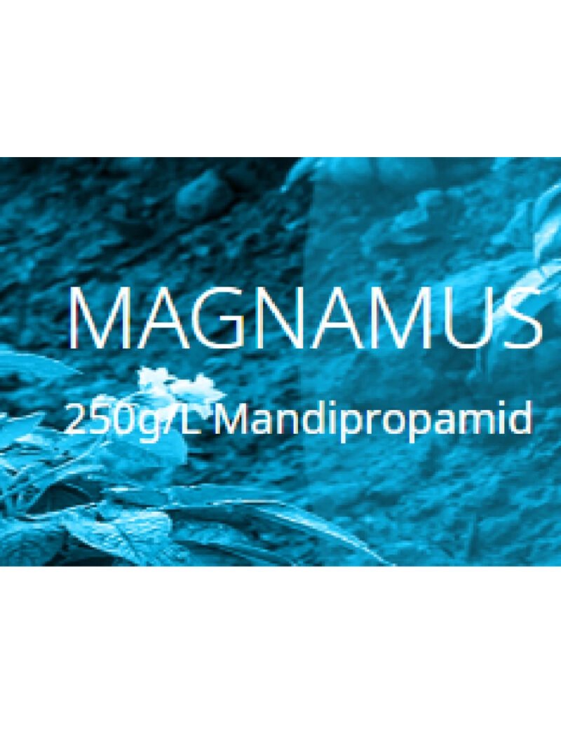 Fungicid MAGNAMUS - 1 Litru, Mana, Mandipropamid, UPL