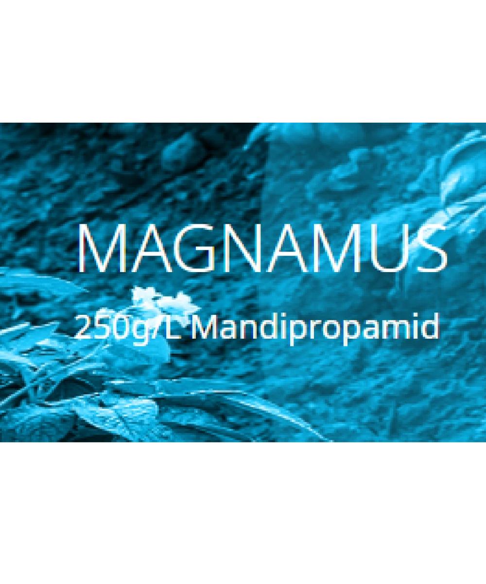Fungicid MAGNAMUS - 1 Litru, Mana, Mandipropamid, UPL Fungicid MAGNAMUS - 1 Litru, Mana, Mandipropamid, UPL
