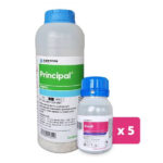 Erbicid porumb PRINCIPAL - 450 g + Adjuvant VIVOLT/TREND - 1,25 Litri, Corteva